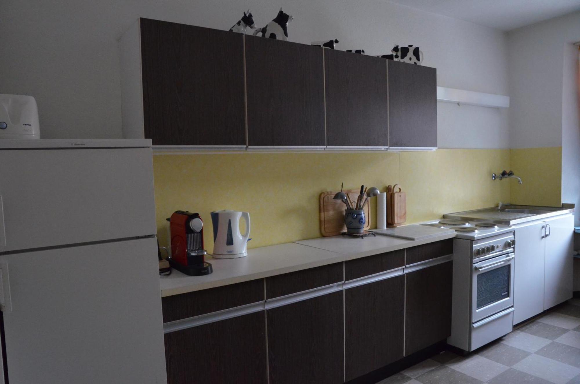 Ferienwohnung Haus Ryter غوشينن المظهر الخارجي الصورة